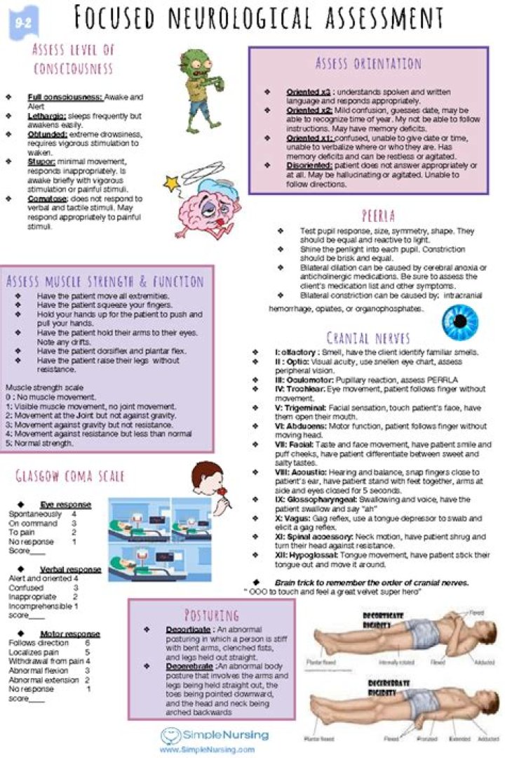 What are the five components of a neurological examination?