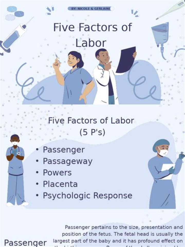 What are the five factors of labor?