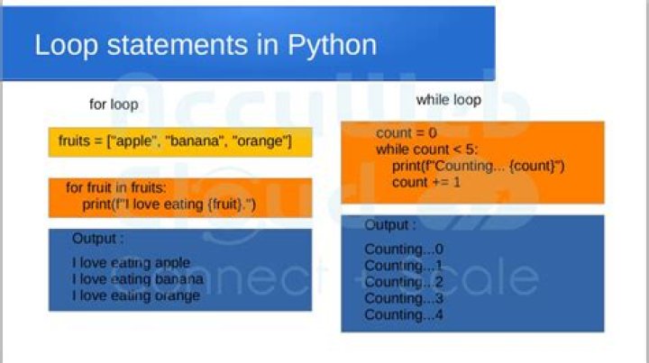 What are the four elements of a for loop in Python?