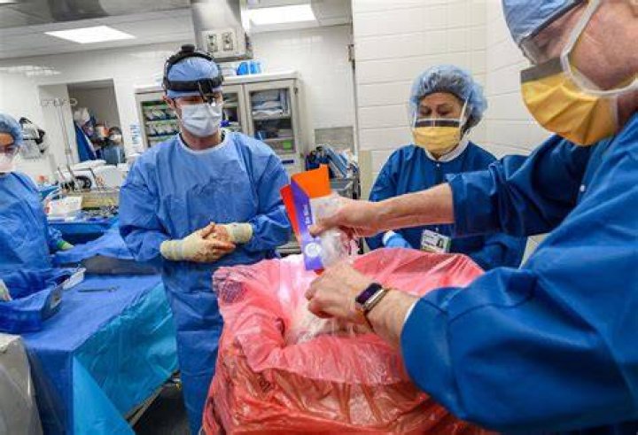 What are the most needed surgeons?