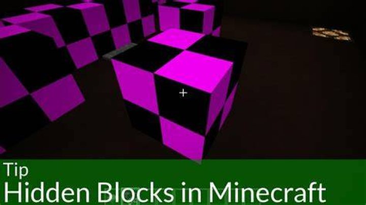 What are the purple blocks in Minecraft?