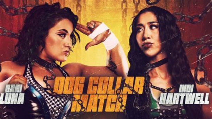 What are the rules of a dog collar match?