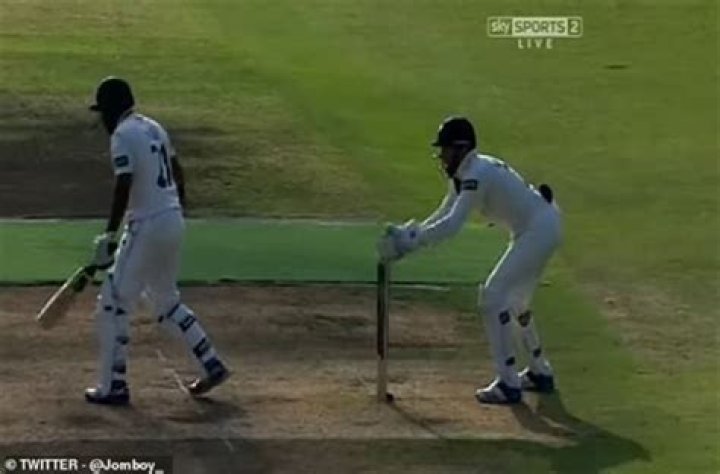 What are the sticks behind the batter in cricket?