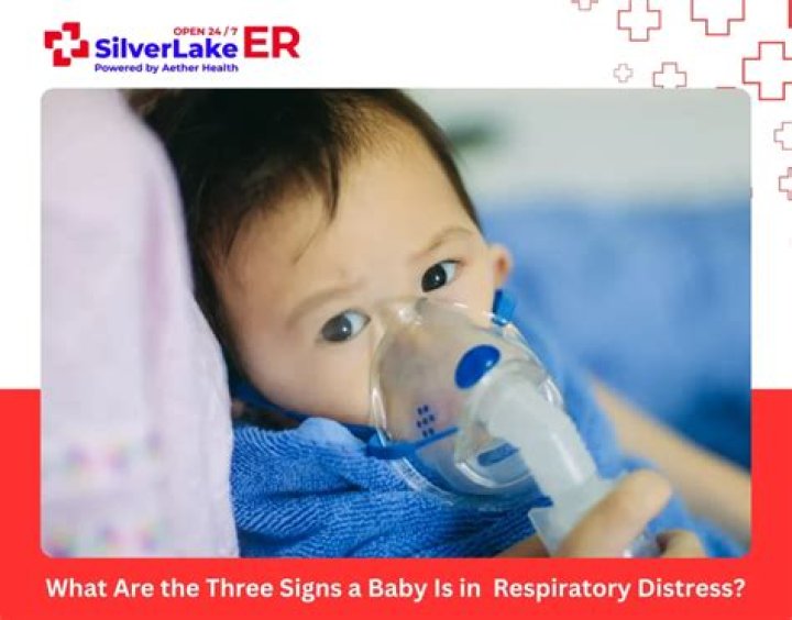 What are three signs of respiratory distress in the newborn?