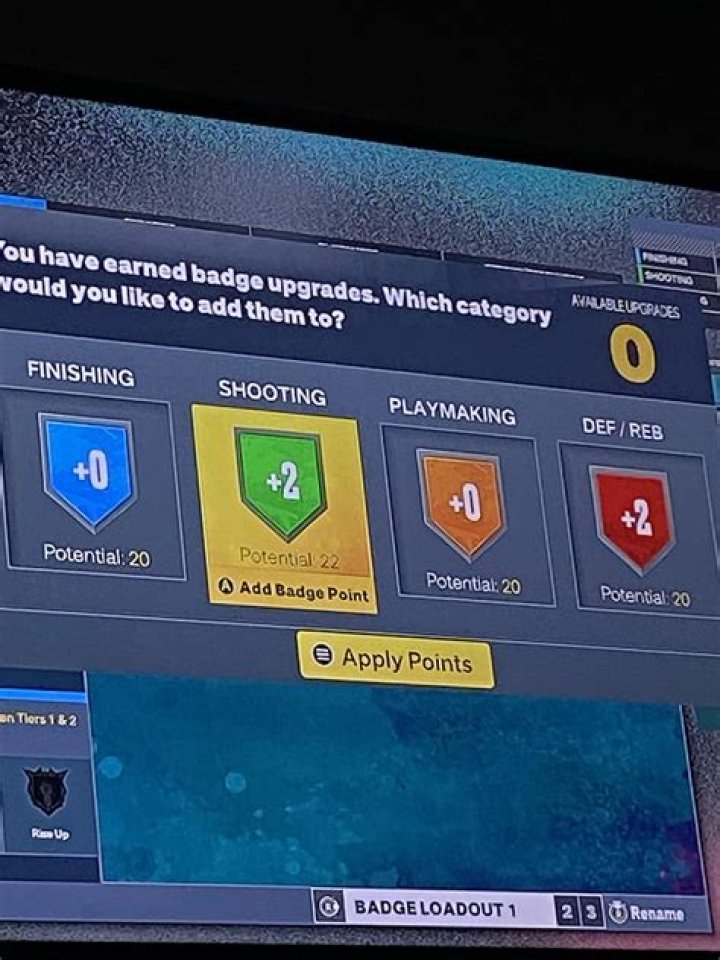 What badges should a 3 level scorer have?