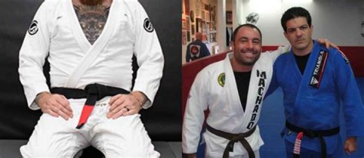 What belt does Joe Rogan have in BJJ?