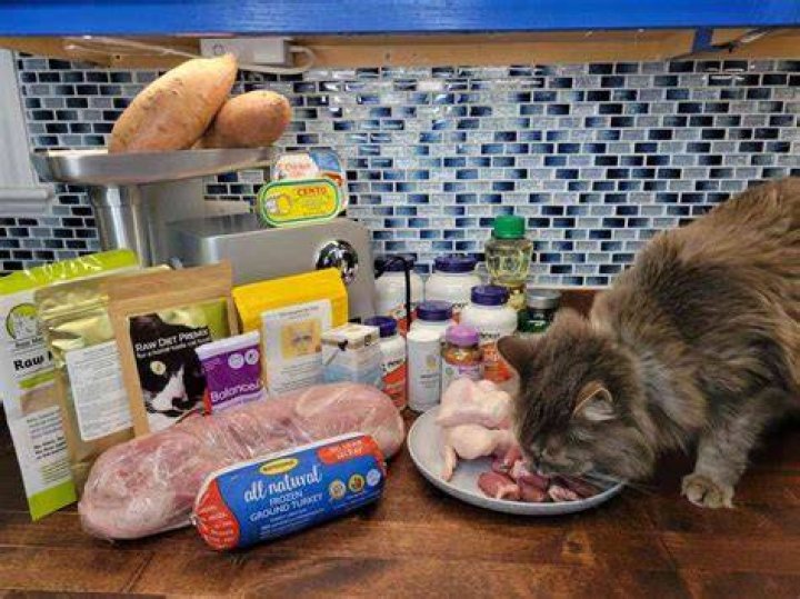 What can I put in my cats water to drink?