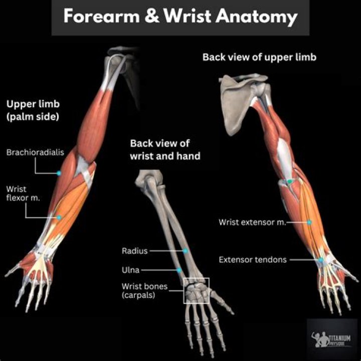 What causes forearm pain in both arms?