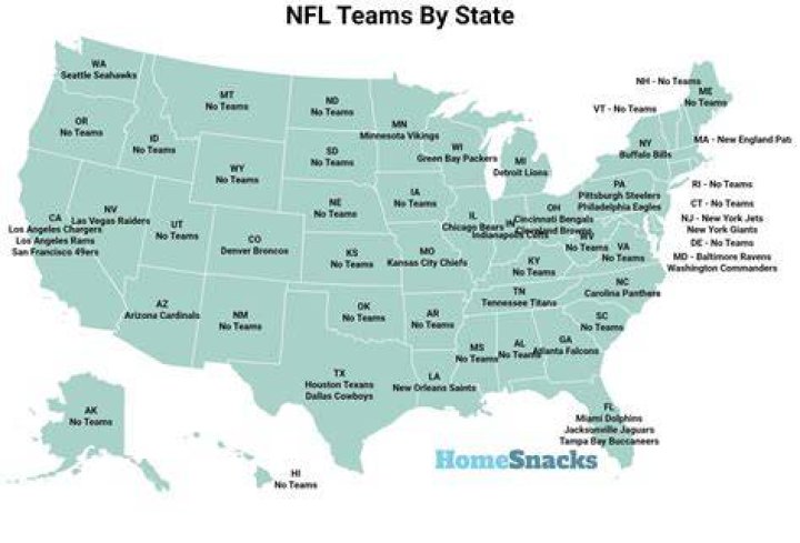 What cities have more than one NFL team?