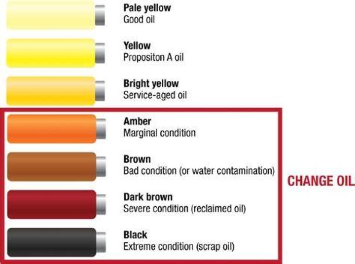 What color should my synthetic oil be?
