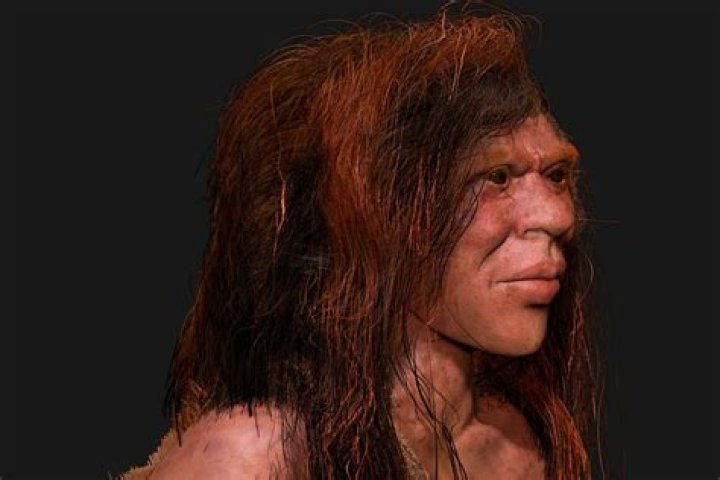 What color were denisovans?