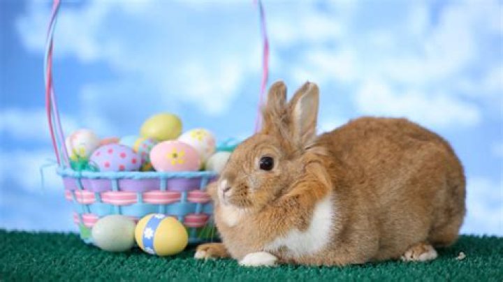 What date does the Easter Bunny come 2022?