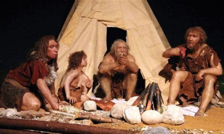 What did cavemen drink?