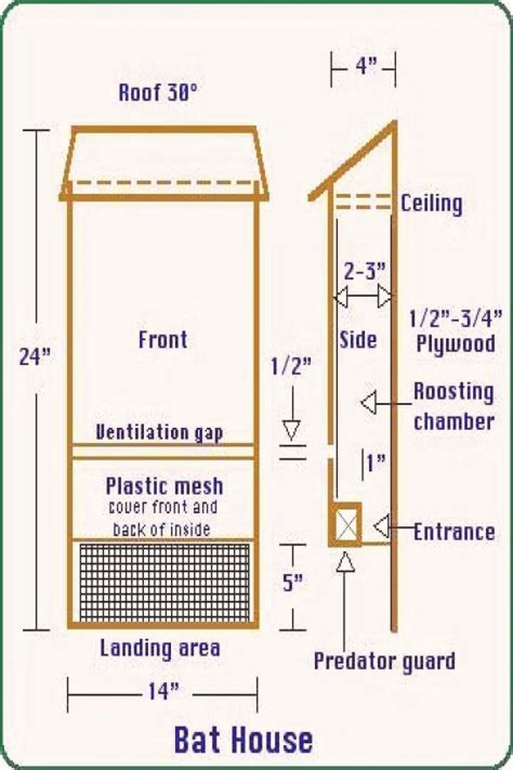 What direction should a bat house face?