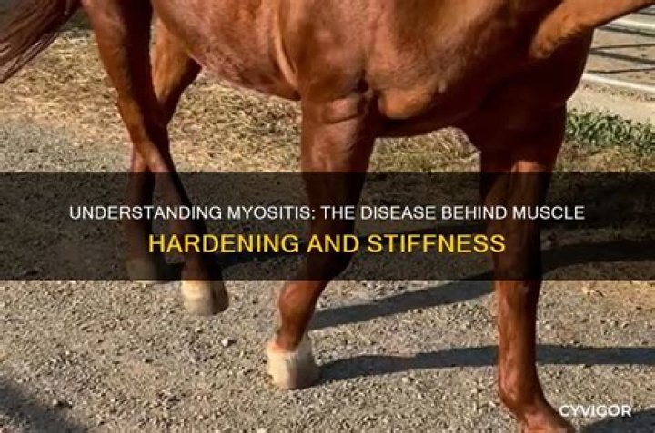 What disease causes muscles to harden?