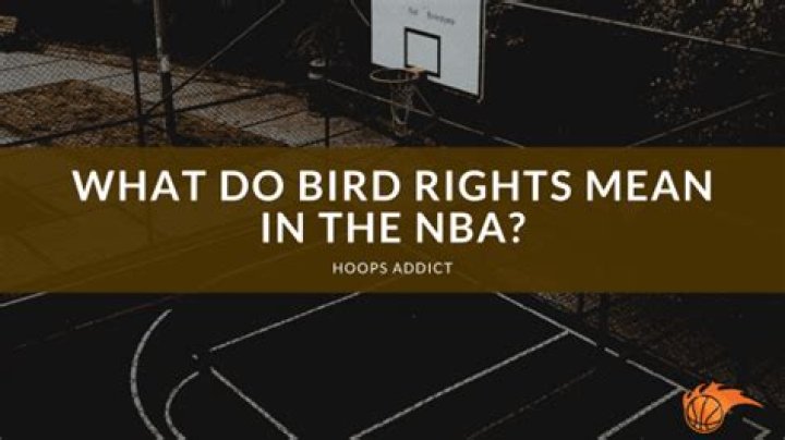 What do bird rights mean?
