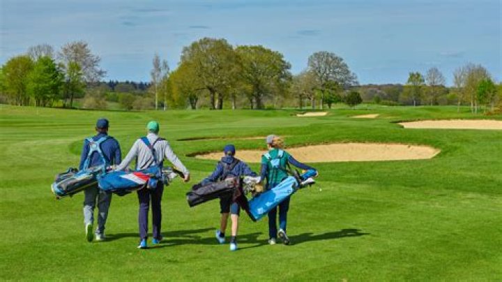 What do golf courses use to fill divots?