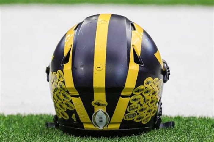 What do the stickers mean on Michigan helmets?