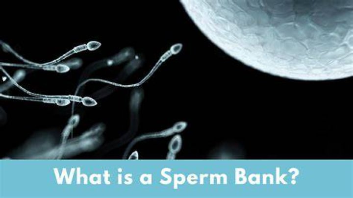 What do they do at a sperm bank?