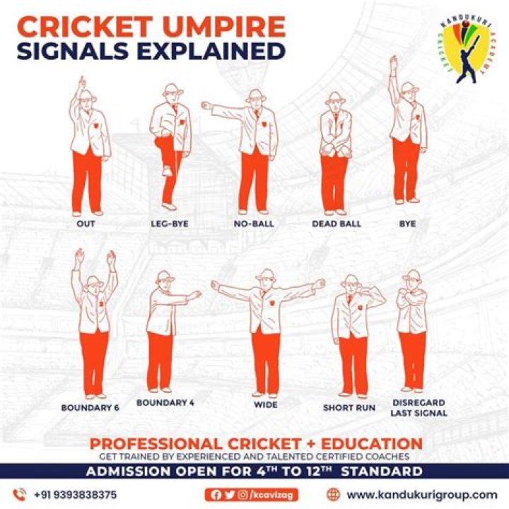 What do umpires hold in their hand in IPL?