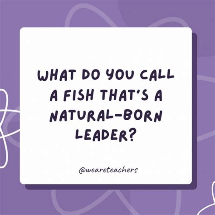 What do you call a herd of octopus?