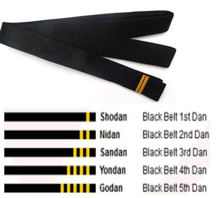 What does 5th degree black belt mean?