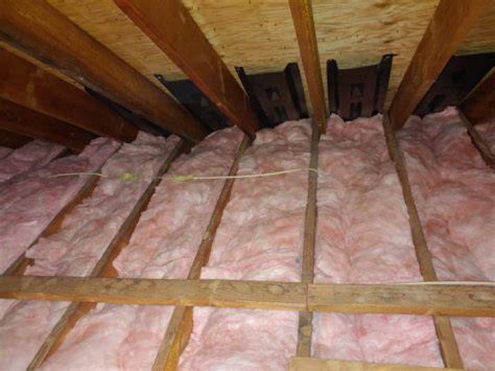 What does a bat in the attic sound like?