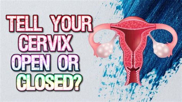 What does a cervix feel like when closed?