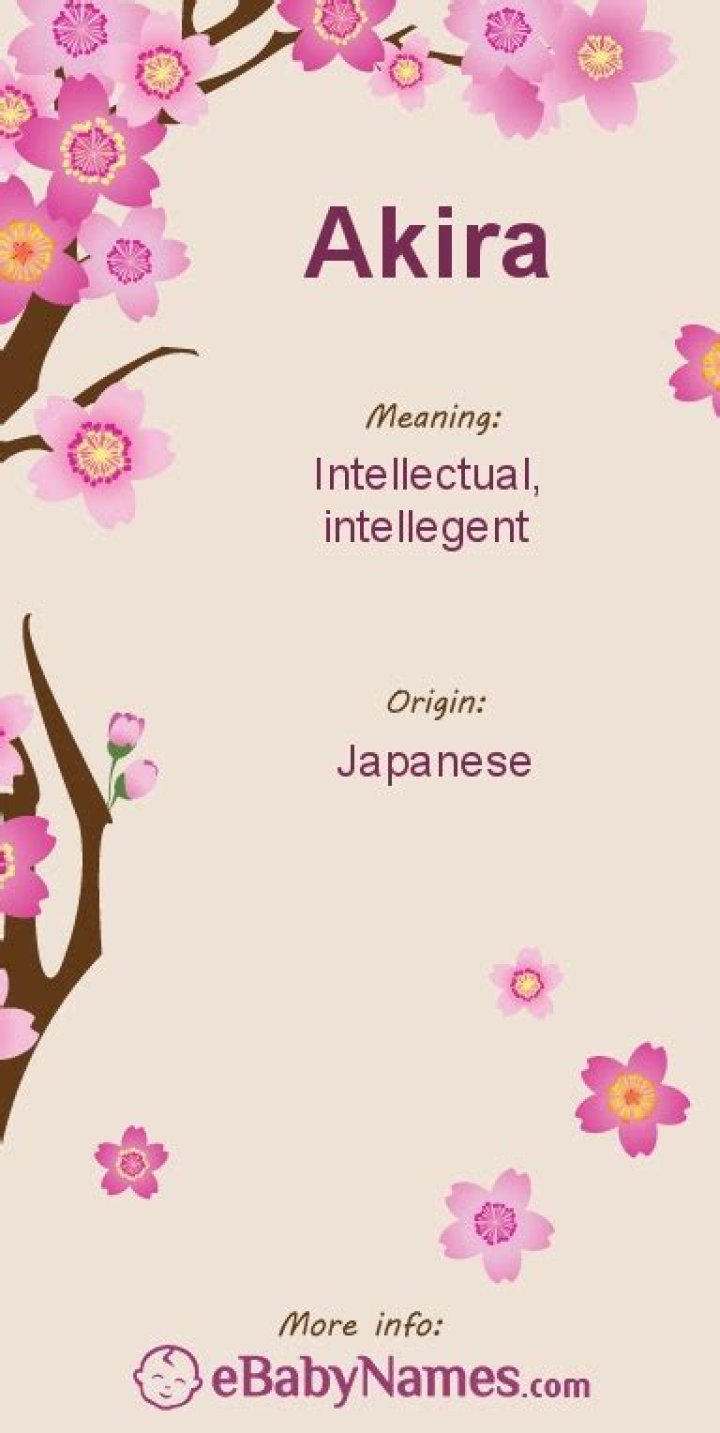 What does Akira mean in Japanese?