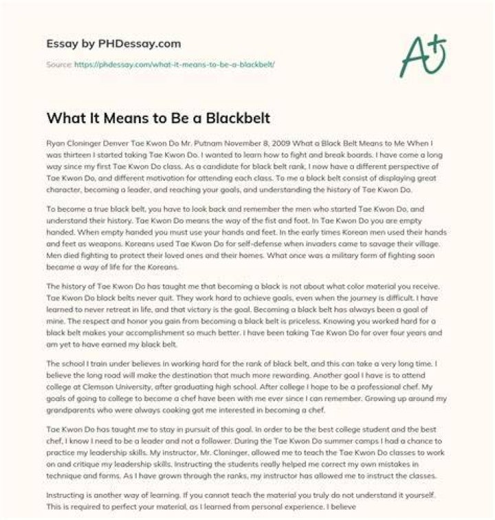 What does black belt mean essay?