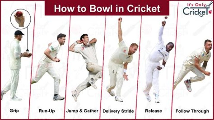 What does bowled mean in cricket?