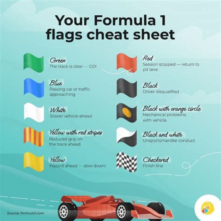 What does brought down mean in racing?