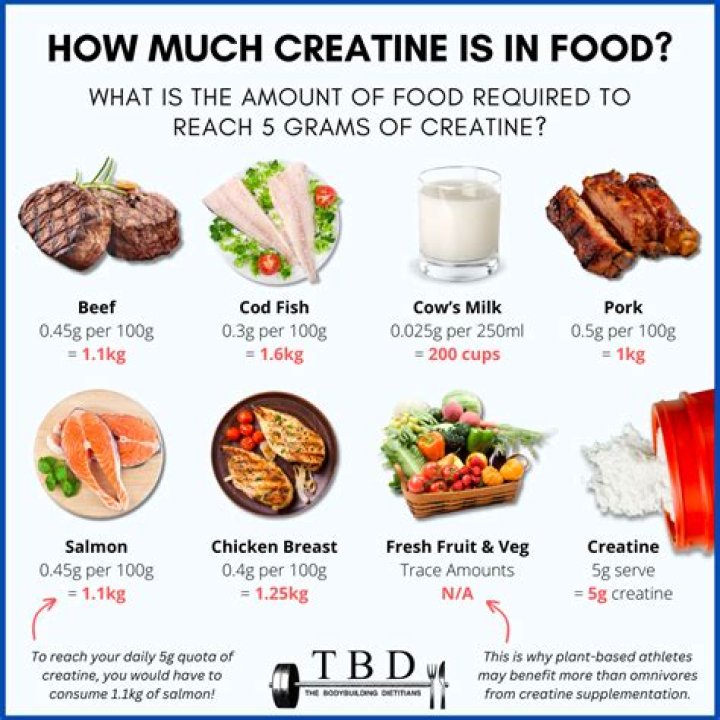What does creatine increase?