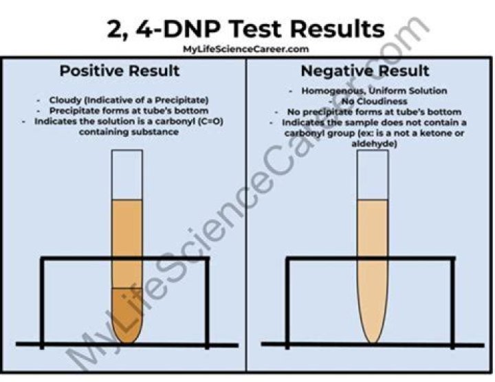 What does DNP mean in NRL Fantasy?