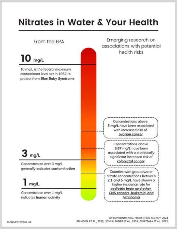 What does high nitrates in blood mean?