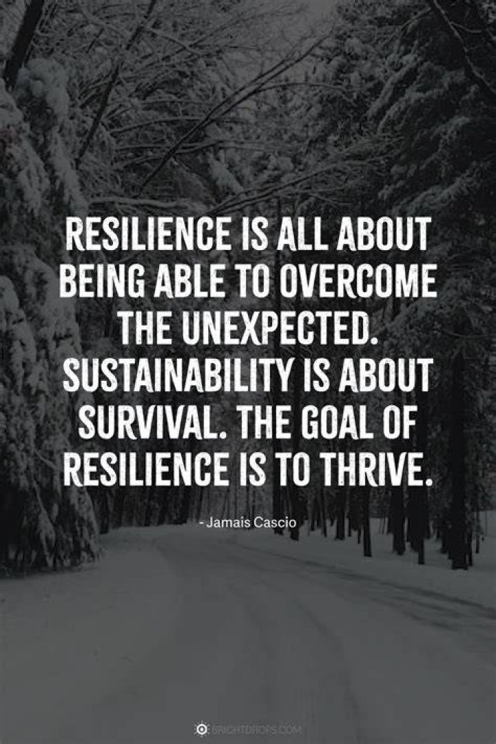 What does it mean to be called resilient?