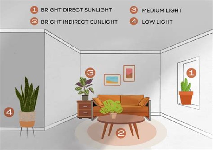 What does it mean to be in direct sunlight?