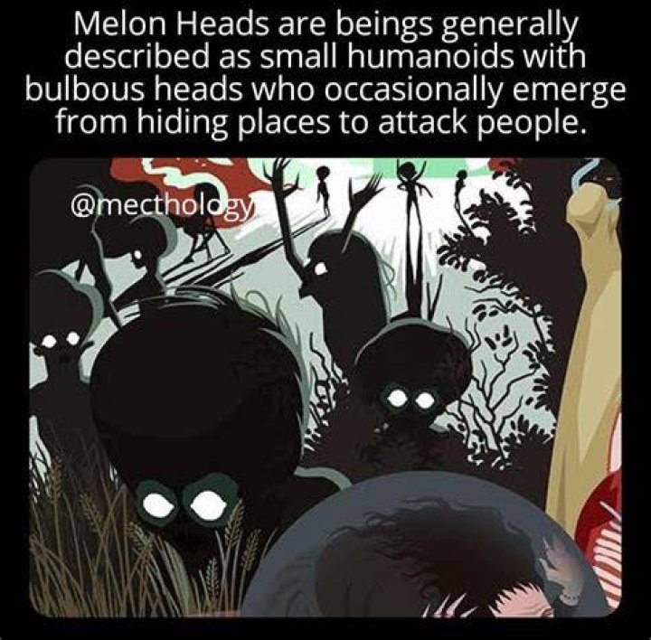 What does it mean to call someone a melon head?
