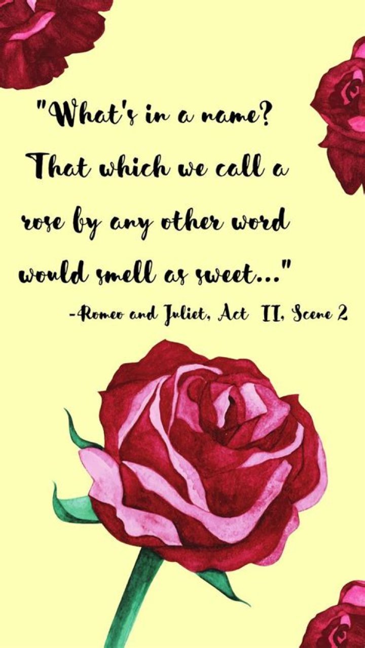 What does Juliet mean when she says what's in a name That which we call a rose?