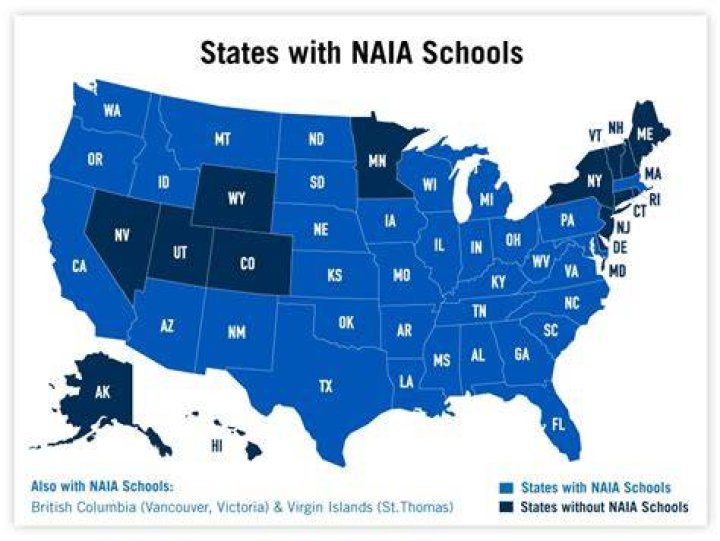 What does NAIA stand for in college?