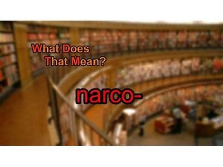 What does narco mean?