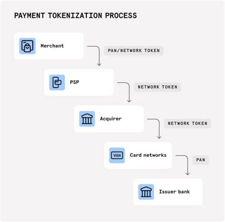 What does NLTK Tokenize do?