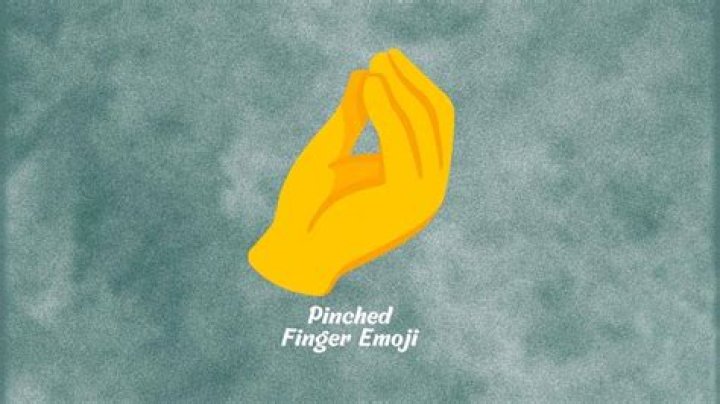 What does pinched finger emoji mean?