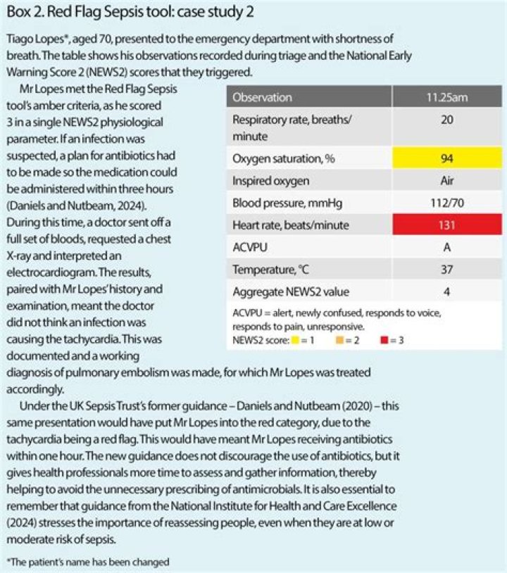 What does red flag sepsis mean?