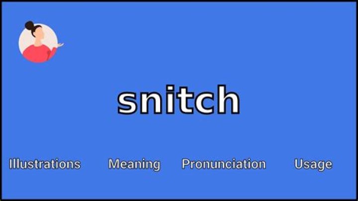 What does snitch mean in slang?