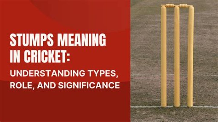 What does soft hands mean in cricket?