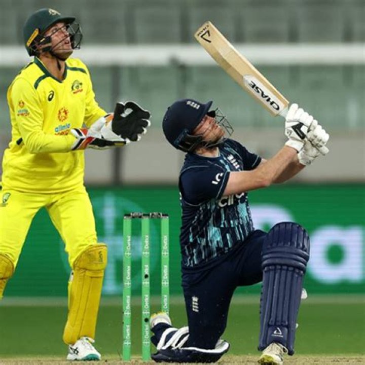 What does thats cricket mean?