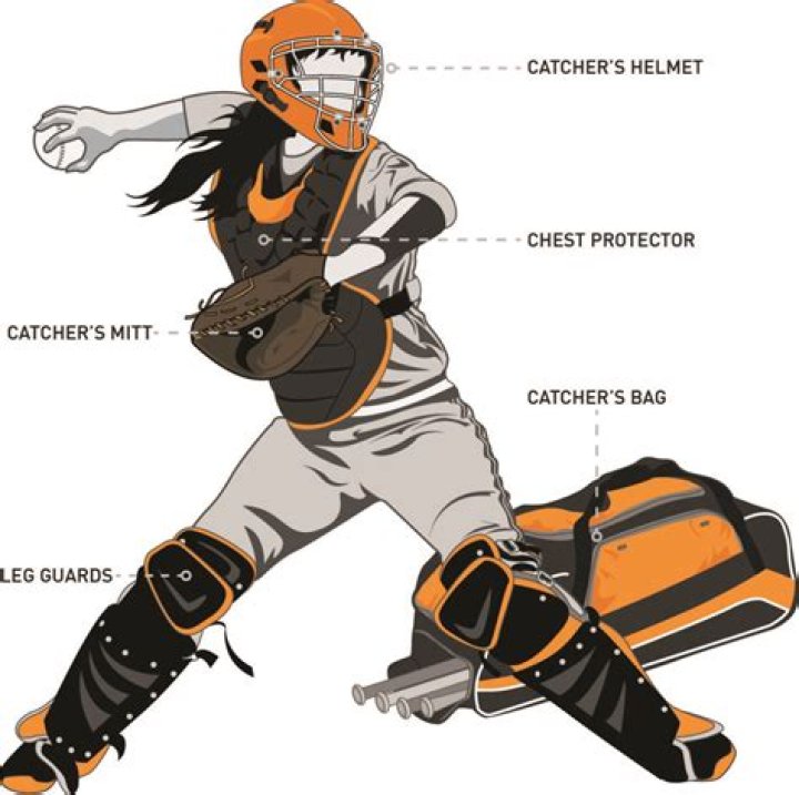 What does the catcher do in softball?