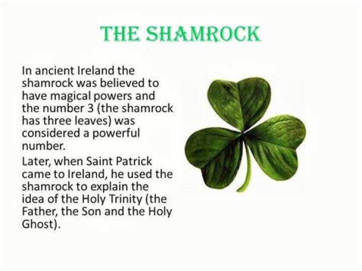 What does the shamrock represents?