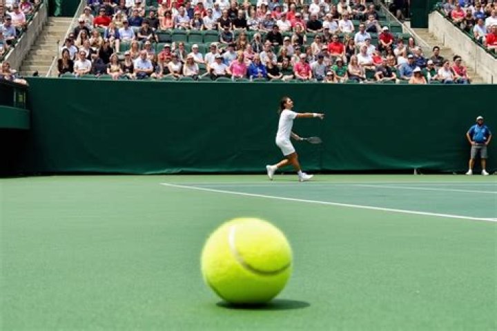 What does WO stand for in tennis?